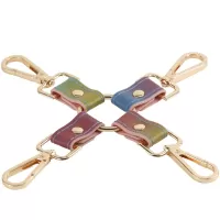 Spectra Bondage Rainbow & Gold Hogtie Clips