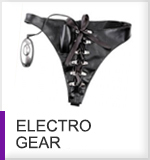 Electro Sex Gear