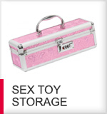 sex toy storage cases