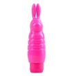 Clitoral Toys