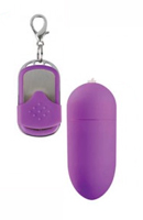 A Buyer's Guide to Egg Vibrators